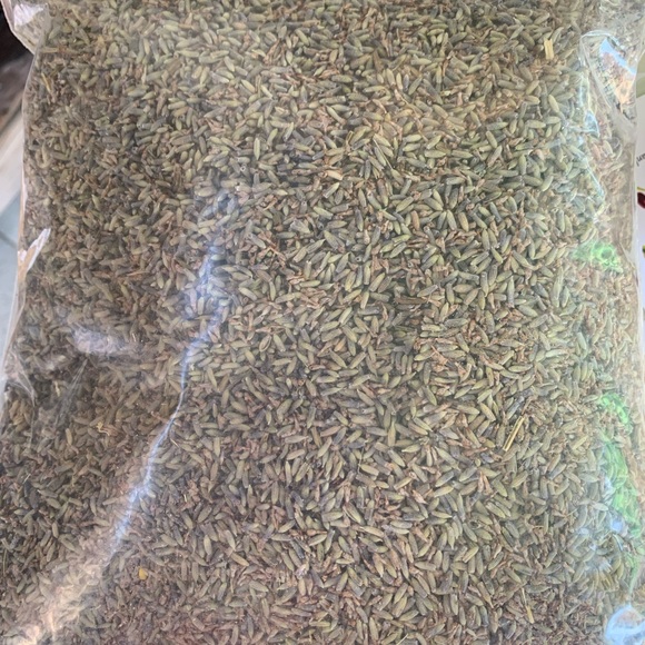 Dried French Lavender Flower Buds (1 Lb. Bulk) - Picture 3 of 6